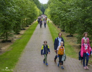 Avondvierdaagse%20Vught%202024%20-%20Dag%203%20%28114%29